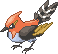 Normal sprite for Fletchinder.