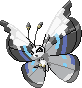 Shiny sprite for Vivillon's Monsoon pattern.